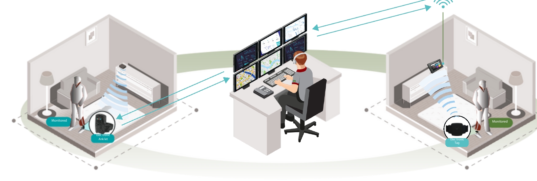 Electronic Home Monitoring Device infographic